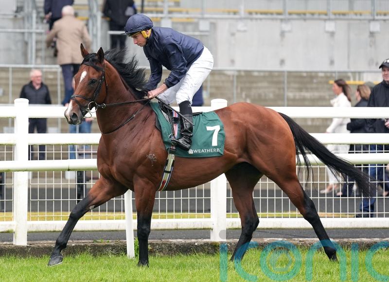 O’Brien keeping the faith with Storm Boy