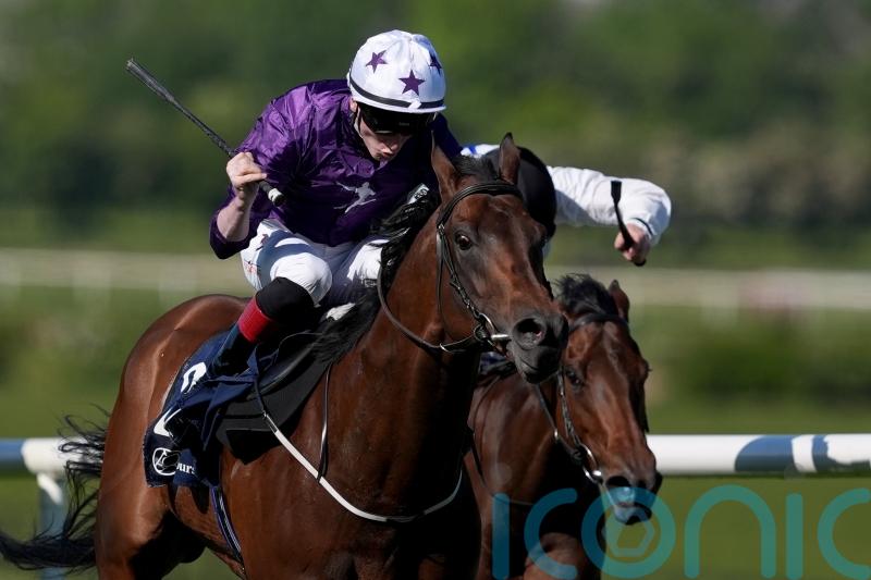 Bucanero Fuerte thriving since Naas return