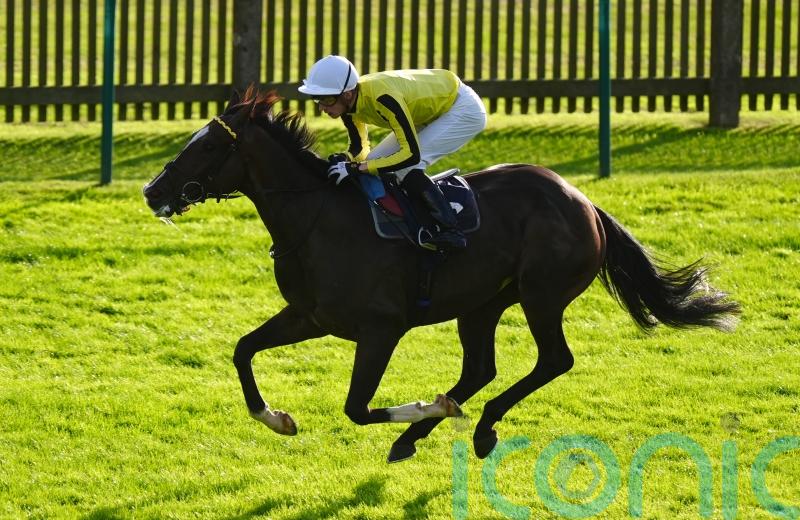 Burdett Road to test Gold Cup claims at Sandown