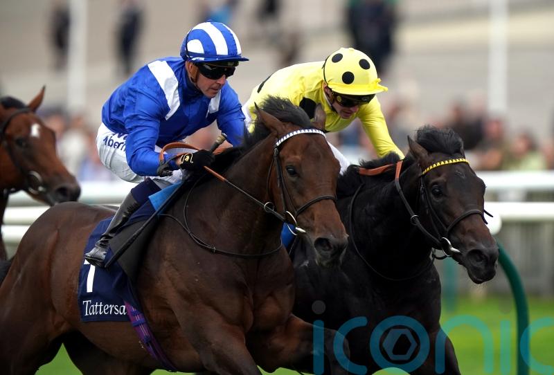 Alyanaabi has swift Haydock double in his sights