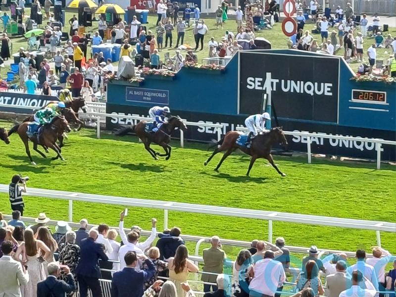 Burrito proves tasty for favourite-backers on the Knavesmire