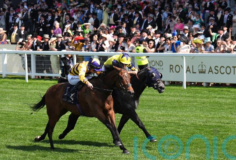 American Affair takes ‘magical’ King Charles sprint glory for Scotland