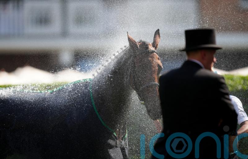 No weather worries for O’Brien as temperatures rise at Ascot