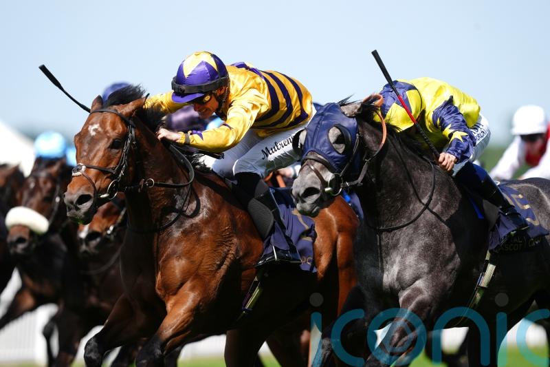 Frost At Dawn has Breeders’ Cup as big end-of-season target