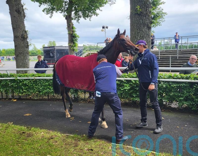 O’Brien hoping Daytona can secure ‘special’ Naas success