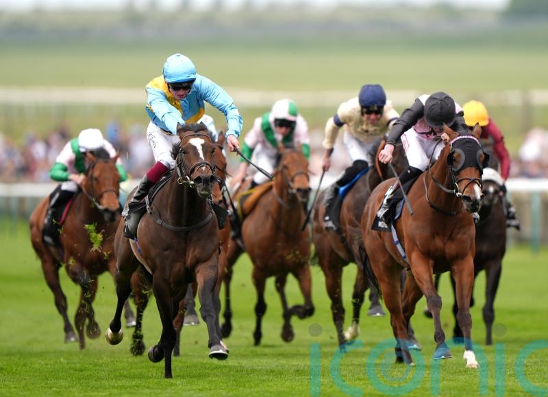 Davison backing She’s Quality to Charge to Sandown glory