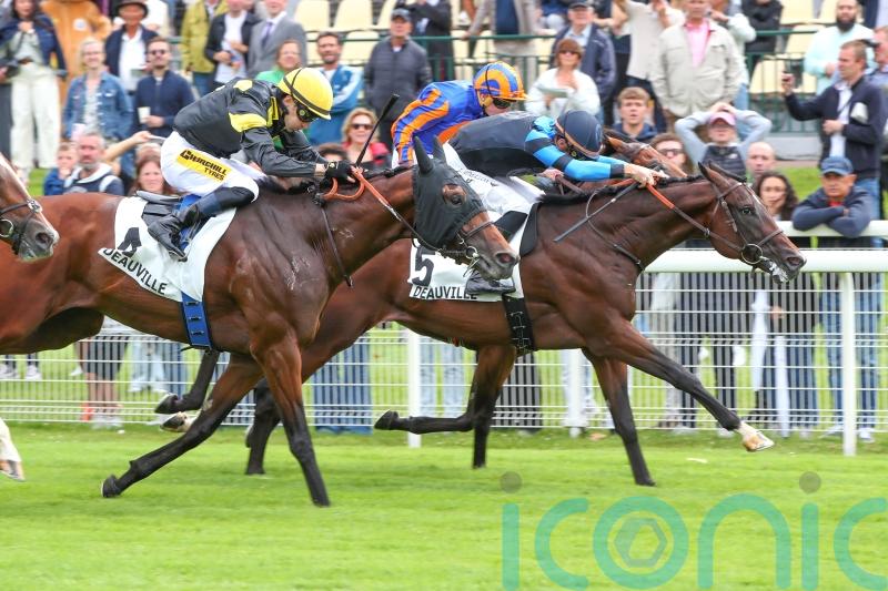 Maranoa Charlie on course for City of York test