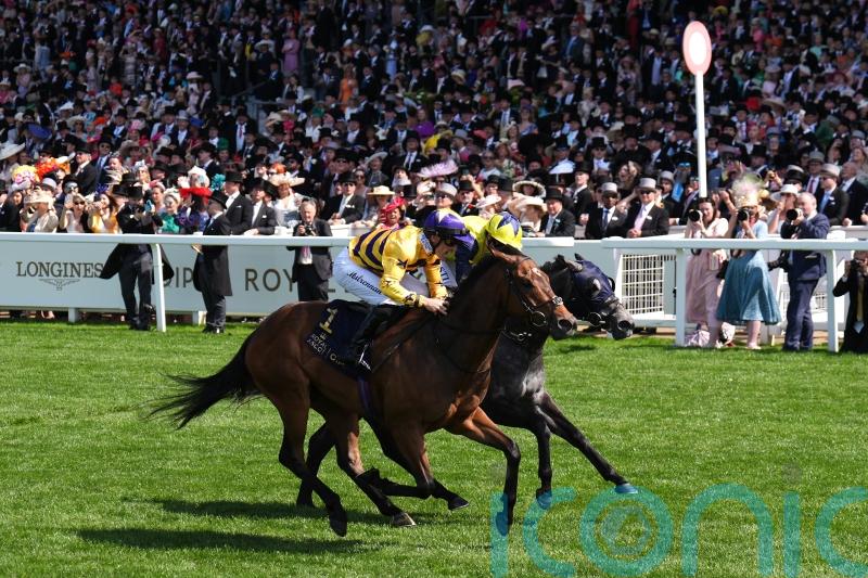 Goldie focusing on Breeders’ Cup date with American Affair