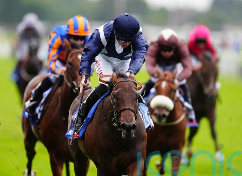 Celandine thriving ahead of Summer Stakes tilt