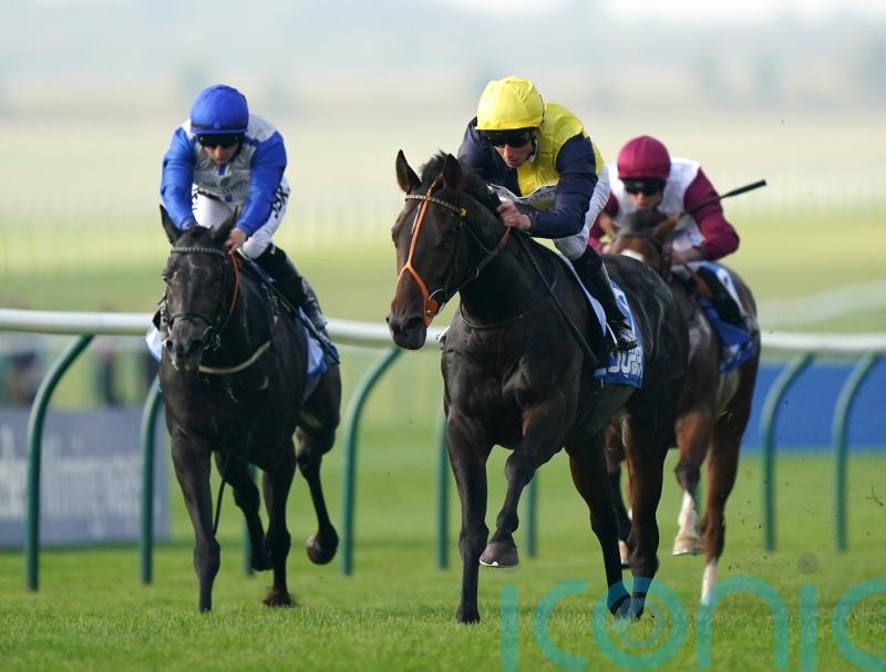 Pontefract repeat could be next on Point Lynas’ agenda