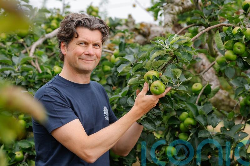 European protected status a &lsquo;game-changer&rsquo; for Armagh Bramley apple growers