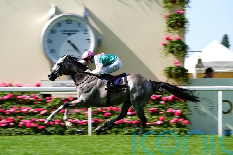 Field sights set on Sussex gold