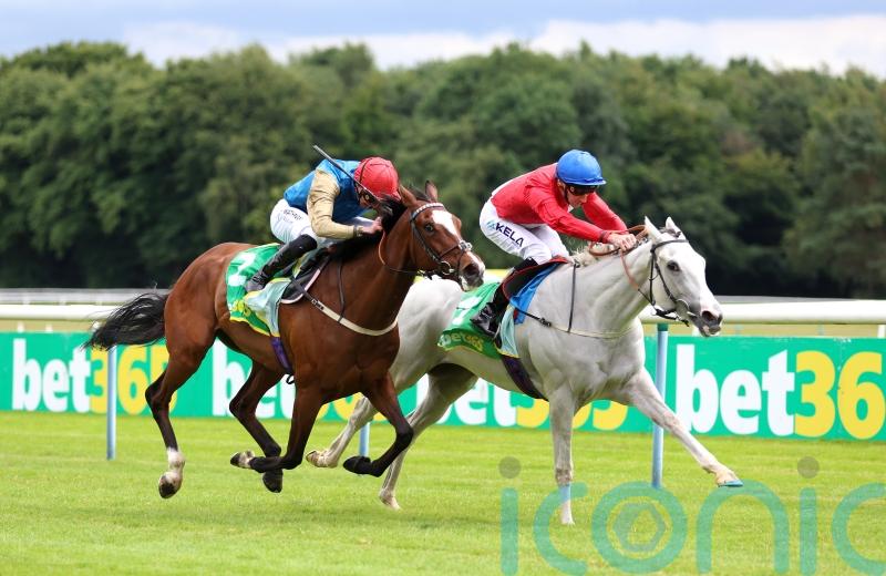 Paris or Ascot assignments will come into view for Estrange