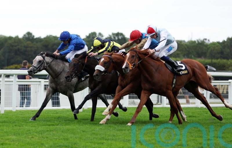 A Bit Of Spirit shows plenty of heart in thrilling Solario finish