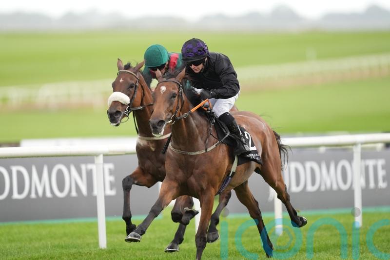 One Look snapped up by Wathnan Racing