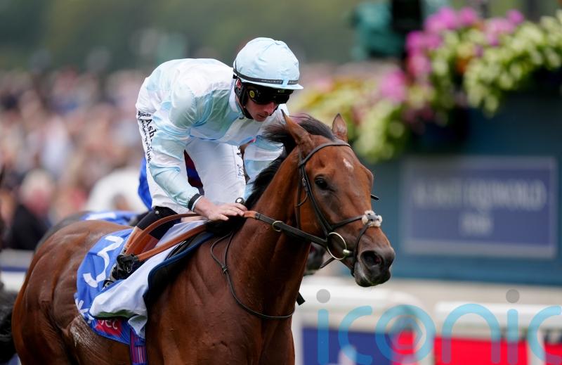 All systems go for Pride Of Arras and Champions Day