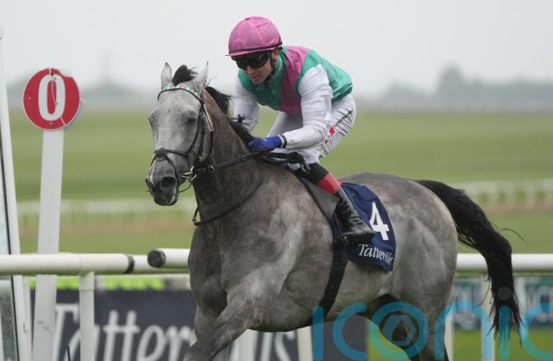 Field Of Gold ‘very much on track’ to make QEII return