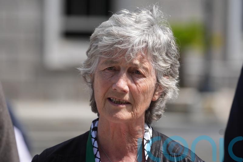 Connolly addresses pro-Palestine rally outside Dail