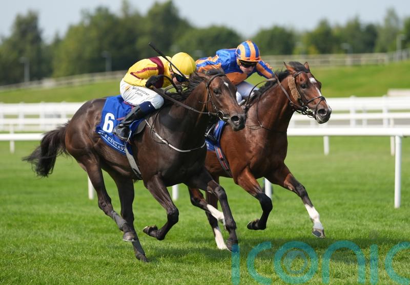 Ipanema Queen aiming to give Adrian Murray more glory