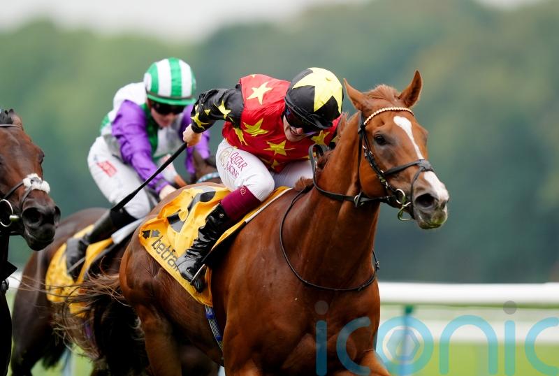 Montassib aiming to state Champions Day cast at Newbury