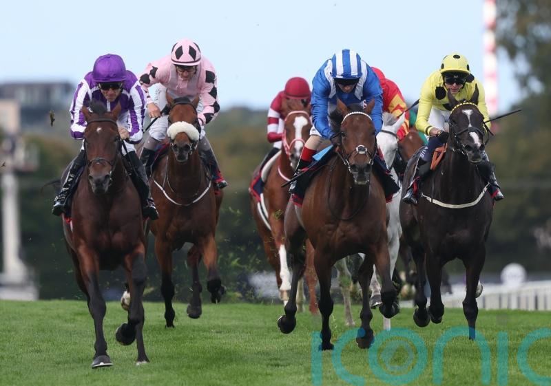 Owen Burrows hoping for soft ground for Anmaat’s Champion Stakes defence