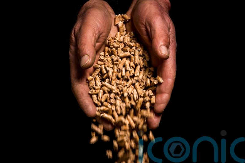Closure of RHI scheme to cost £196 million over next decade