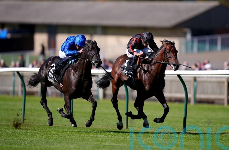 Maltese Cross makes an impression in shedding maiden tag