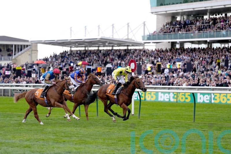 Bow Echo looks the part with Royal Lodge victory