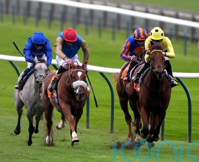Action needed next year with Newmarket Eyecatcher