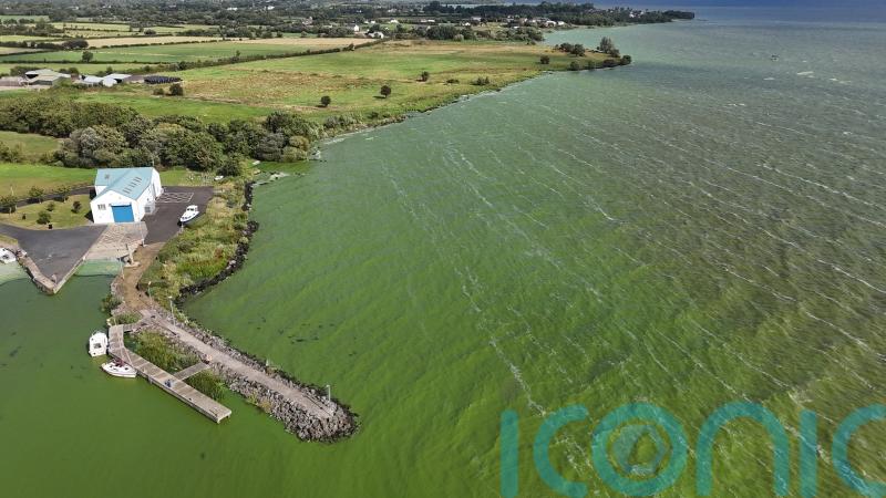 Recovery of Lough Neagh ‘will take years, if not decades’, says Muir