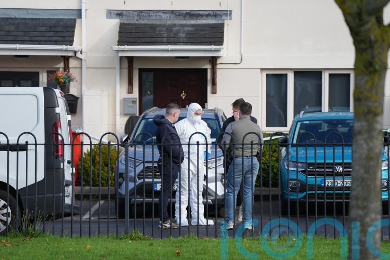 Irish police ‘not looking for anyone’ over deaths of man and child in Dublin