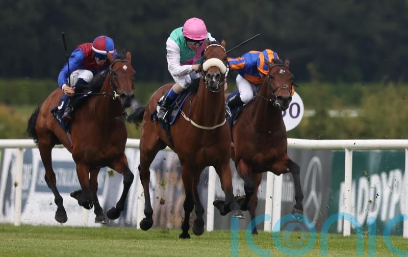 Purview makes his class count in Cork feature
