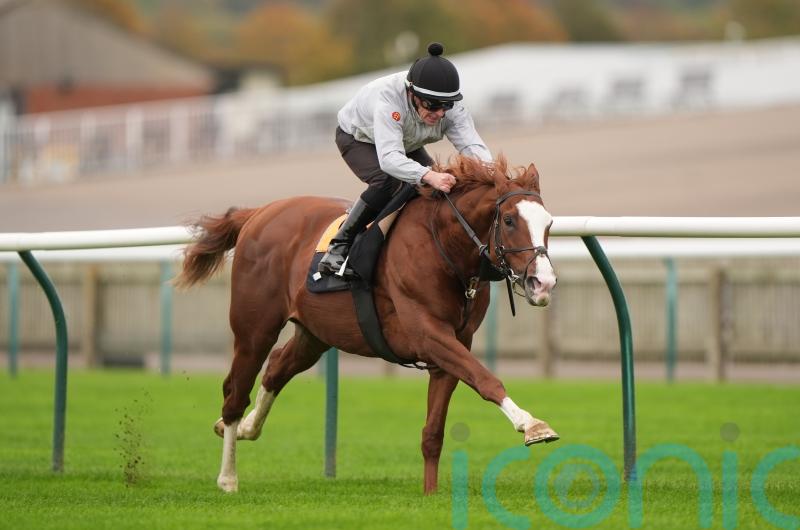 Haggas happy with Newmarket day out for Economics