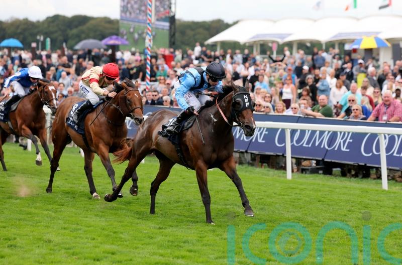 Abbaye bid for Asfoora sees Henry Dwyer still ‘living the dream’