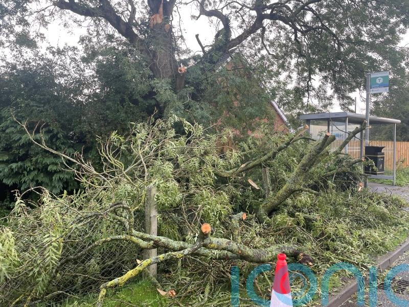 42,000 homes left without power as Storm Amy sweeps country
