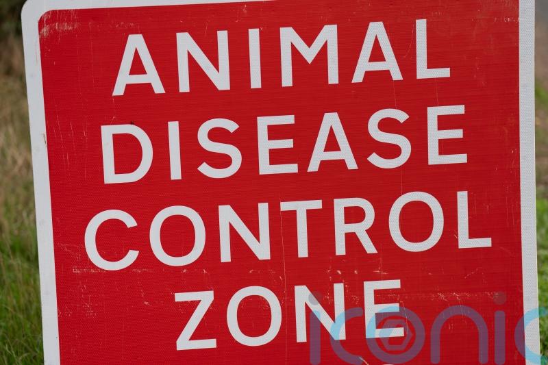 Suspected case of bird flu identified near Omagh