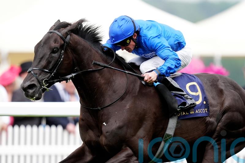 Rebel’s Romance on course to bid for Breeders’ Cup history