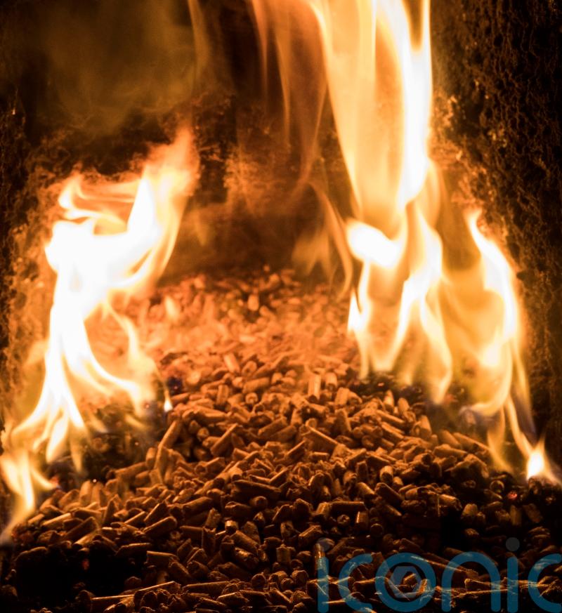 RHI Bill is continuation of payments rather than closure, committee head says