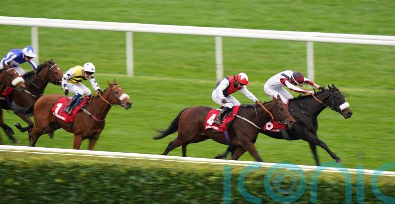 Copper Knight ‘in grand form’ ahead of his own race