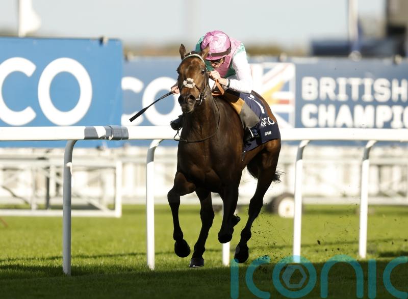 Kalpana leads Balding&rsquo;s Ascot team in title pursuit