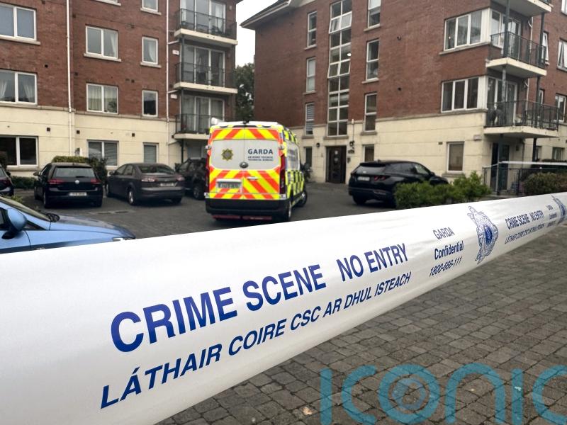 Teenager killed in suspected stabbing named by Ukrainian Embassy