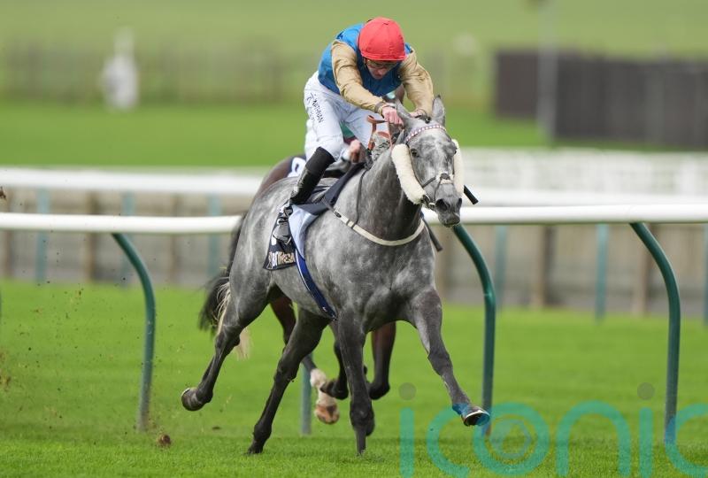 Fallen Angel set for winter break after Ascot disappointment