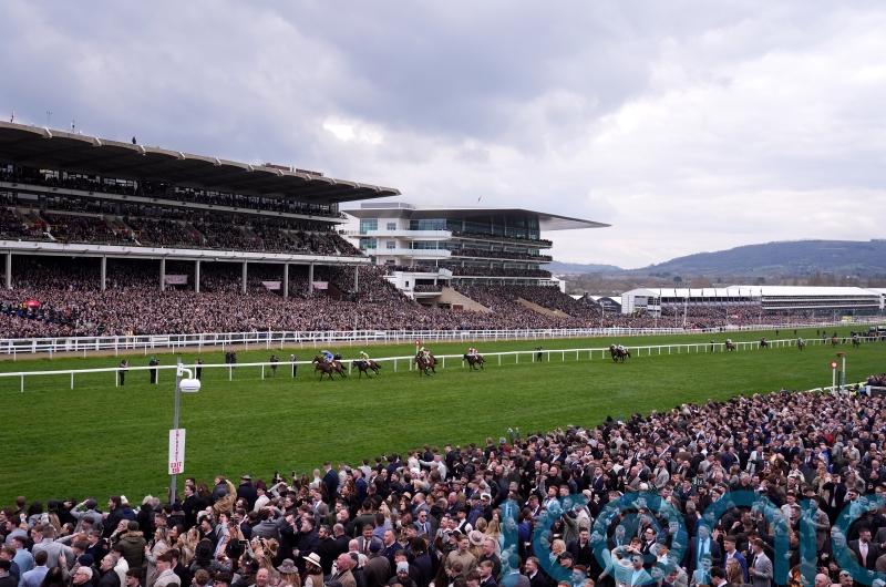 Cheltenham ‘nowhere near’ a decision on Festival scheduling switch
