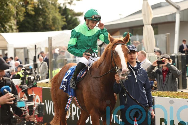 Benvenuto Cellini headlines 13 confirmations for Futurity Trophy