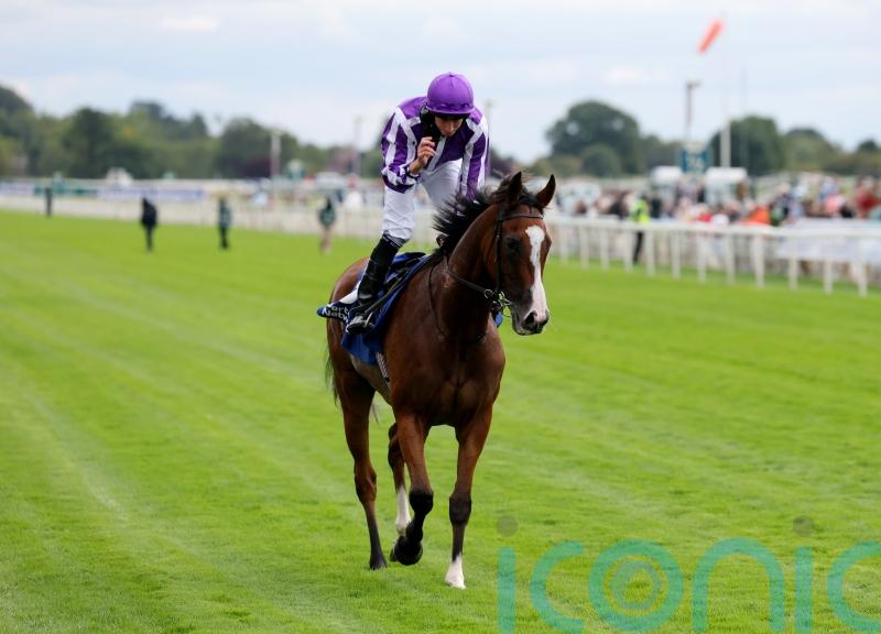 Turf hope Minnie Hauk to lead O’Brien’s Breeders’ Cup team