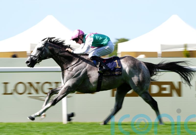 Field Of Gold to stay in training as a four-year-old
