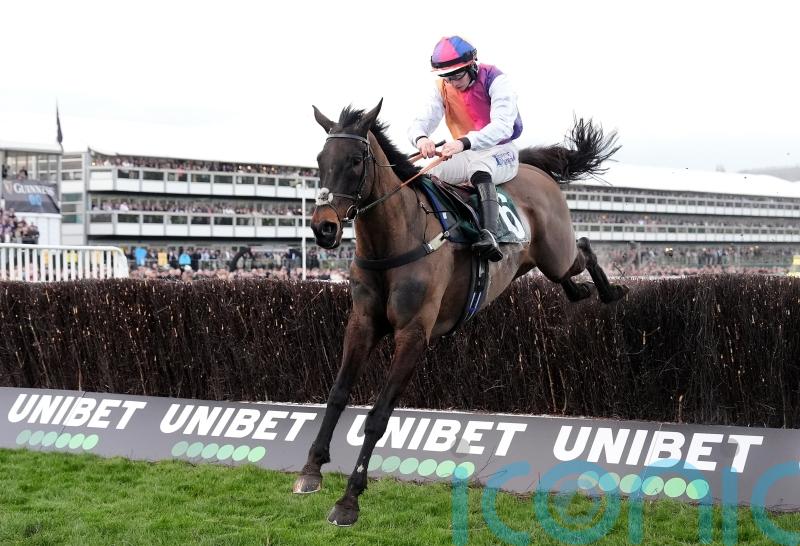 Rain required for Haiti Couleurs reappearance