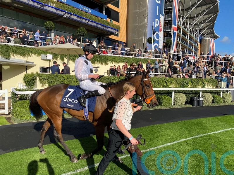 Tiffany to bid for perfect swansong in Germany