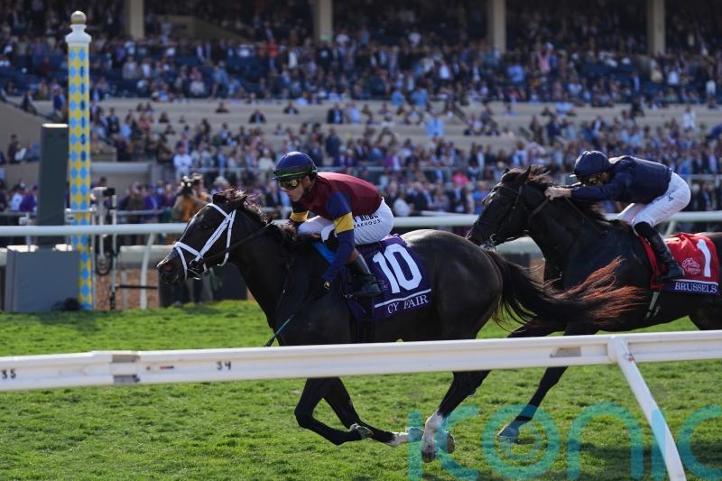 Cy Fair too good for True Love and company