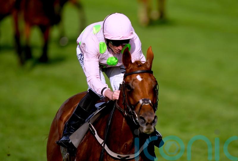 Vauban out to make it third time lucky in Melbourne Cup